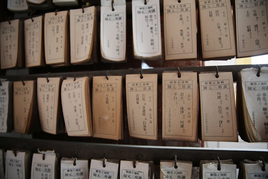 A collection of vintage library catalog cards hanging on wooden shelves, showcasing traditional Japanese text.
